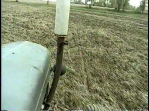 how to grow rye grass