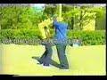 Li Jingwu pushes hand 2