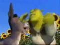 �orumlu shrek �akir !!
