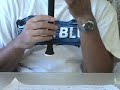 リコーダーは小学生の頃に買ってもらったアウロスのジャーマン式です。途中で持ち替えてはいませぬ。録音環境は、隣にＣＤプレーヤーを置いて、ハンディカムにちっちゃいマイクつけて録画してます。広くて響く部屋なので、リバーブかかったみたいに聞こえるのでしょうか。