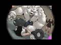 Eve:Vampire Diva - Zombina & The Skeletones Trailer
