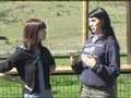 Educating With Animals