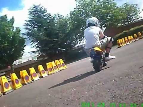 racing results cheltenham