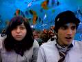 videos de Taking a picture then realizing we're in fish land.