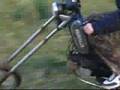 Easy Rider Mofa