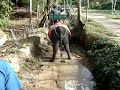 elephant pooped