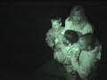 Mad-Labs Scare 3 of 8