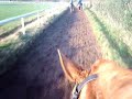 Galloping The Horses
