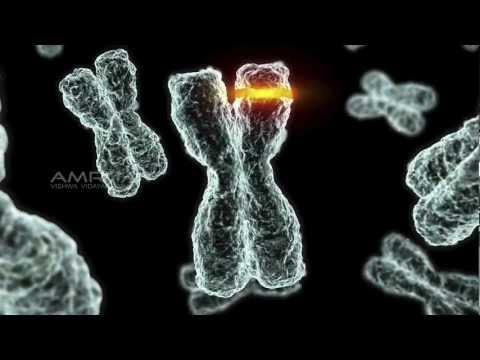 how to isolate polysaccharides