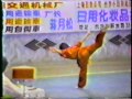 Championnat de Chine 1988