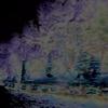 Shadows of Existence - Predestined