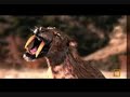 Smilodon Vs dire wolf Vs Arctodus