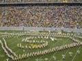 Tribute to Steve Slaton