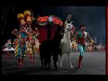 Ringling Brothers Alpacas, Llamas, Goats and Zebras