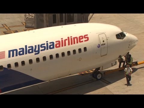 Can Malaysia Airlines survive?