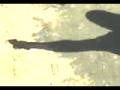 videos de Saag 3.mp4