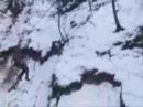 DiT Ba?antarnia- Zjazd Wielicha na tyrolce DiT Ba?antarnia- Zjazd Wielicha na tyrolce