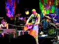 videos de Smashing Pumpkins - Boston - Nov. 14th
