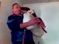 Kalin Bochukov (2) - Rhodope bagpipe (kaba gaida) Kalin Bochukov (2) - Rhodope bagpipe (kaba gaida)