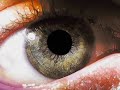 Msn Avatarlarım Ve Güzel Resimler Müzik Eşliğinde(ramoveben)