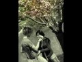 حياتي فداك -تامر حسني