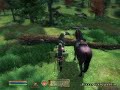 The Elder Scrolls IV - Oblivion @ 8800GTS