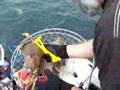 Crabbing With Dan