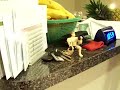 100_2545.mov