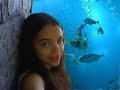 geseli te amo
