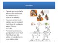 Diseño Puestos de Trabajo
