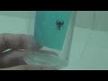Feeding Drosophila Feeding Drosophila