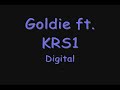  goldie ft krs1 digital original dnb drum bass jungle rap hip hop