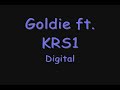 Goldie ft KRS1-Digital