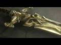 Lineage 2 historia ( losito )