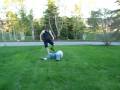 Crazy Newfies
