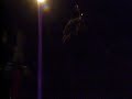 Mcat dancing