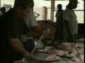 videos de Seychelles Travel Doc Part 02