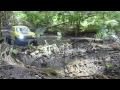 100430_N_Forest_Trail_Run