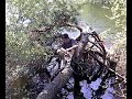 a la peche 2