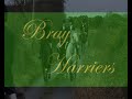 Bray Harriers