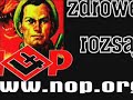 NOP wybory 2007