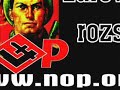 NOP wybory 2007