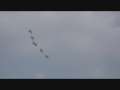 RSAF Black Knights @ Singapore Airshow Part 1 RSAF Black Knights @ Singapore Airshow Part 1