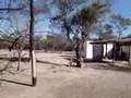 Argentina - El Impenetrable Chaqueño - Rancho