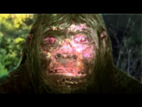 Neanderthal - Do archaic humans still walk the earth? The Almas, Almasty, Man of the Forest, Wildman, Yeti, Russian Bigfoot... what ever you want to call him, he's out the...