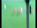 United 4 - Aberdeen 1 ( CIS Cup semi final 08 at tynecastle)