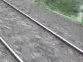 tren descarrilado entre adrogue y burzaco tren descarrilado entre adrogue y burzaco