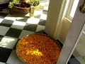 Udai kothi Hotel