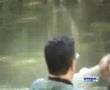 Pescando carpas a mosca