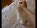 Cliquez pour voir la vid�o
